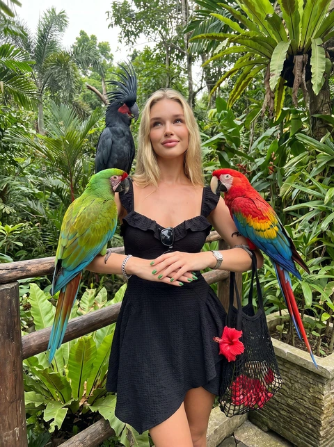 Parrots